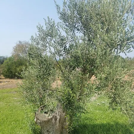 Tenuta Maru Marina di Mancaversa